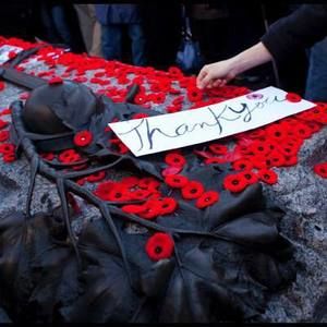 Meet your Posher, Brandy